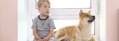 La meva primera mascota