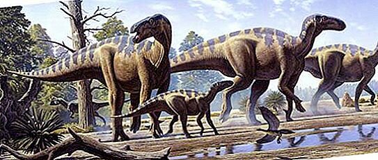 Proterosoikum ehk agueoon