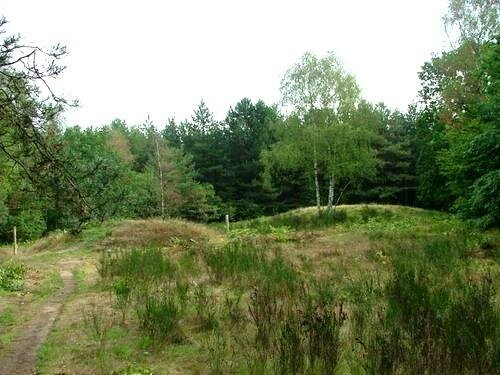 Begin van de midden bronstijd