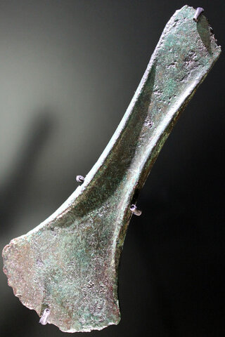 Begin Sögel-Wohldegroep