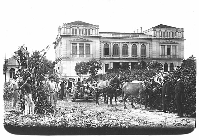 Criação do Instituto de Química (RJ) e da Escola Politécnica (SP)