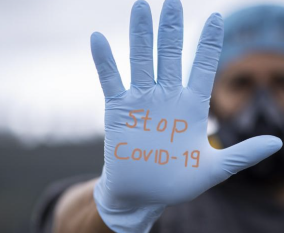 Pandèmia mundial (Covid-19).