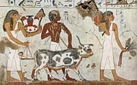 3000 a. C Egipto