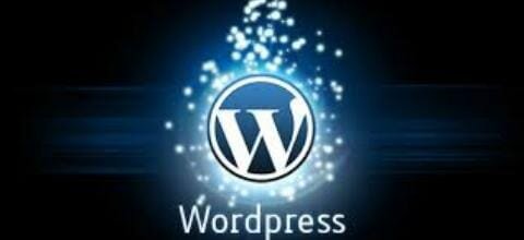 El año 2002 matt mullenwed