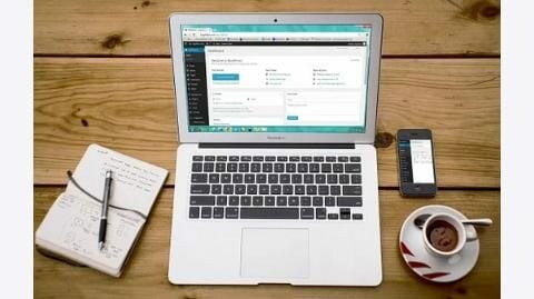 2008 lanzamiento del director de temas de wordpress