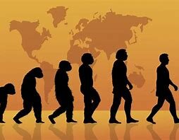 2.5 millones de años