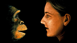 Timeline: La caminata de los hominidos