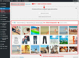 Las Vulnerabilidad de WordPress