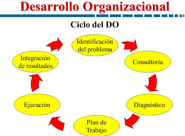 TEORÍA DEL DESARROLLO ORGANIZACIONAL