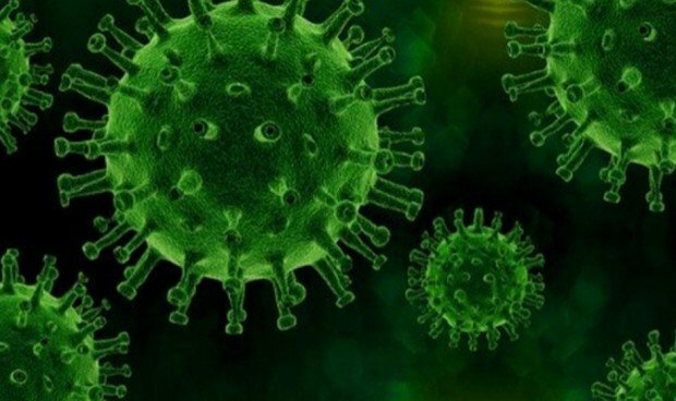 COMENÇA LA PANDÈMIA