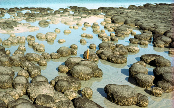 Il y a 4 500 millions d’années débute le Précambrien