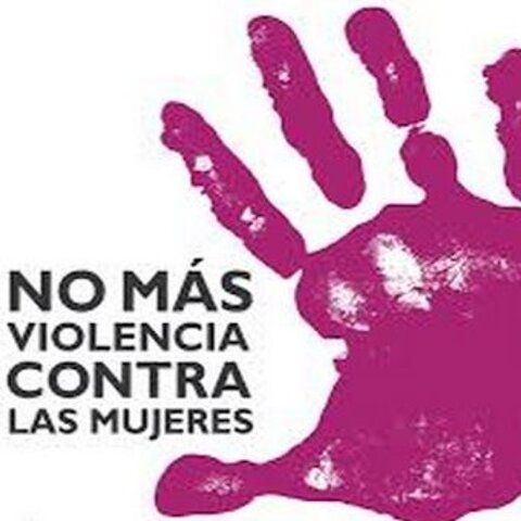 Ley  General de Acceso de las Mujeres a una Vida Libre de Violencia
