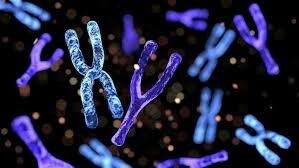 Mutaciones Genéticas