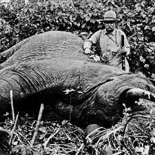Theodore Roosevelt Goes to Africa