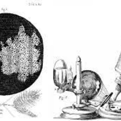 Timeline: Desde los inicios del descubrimiento del microscopio hasta los postulados de la teoría celular