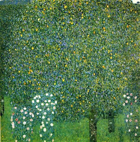 Rose Bushes Under Trees