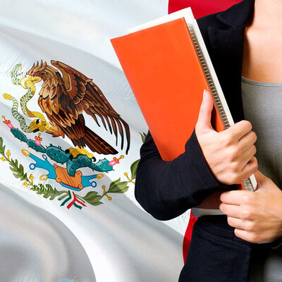 Timeline: Bases constitucionales de la  Educación