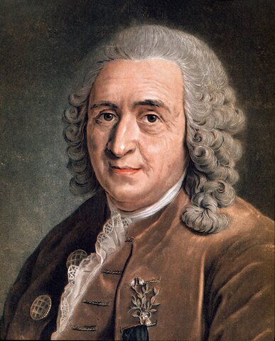 Carolus Linnaeus (1707-1778)
