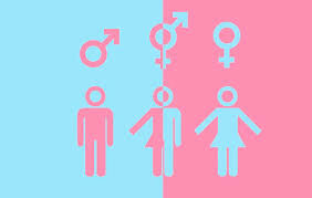 Enfoque de Género. Ideología de género