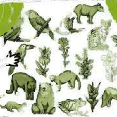 Timeline: EVOLUCIÓN DE BIODIVERISIDAD