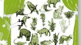 Timeline: EVOLUCIÓN DE BIODIVERISIDAD