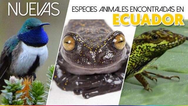 Yacimientos de Paleofauna