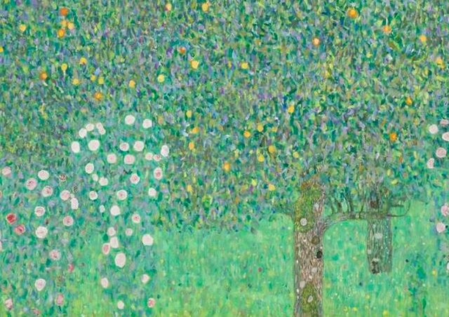 Rosiers sous les arbres