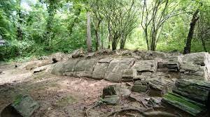 Fósiles de cierta afinidad con las Angiospermas