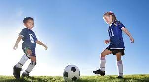 ¿Futbol o Voleibol?