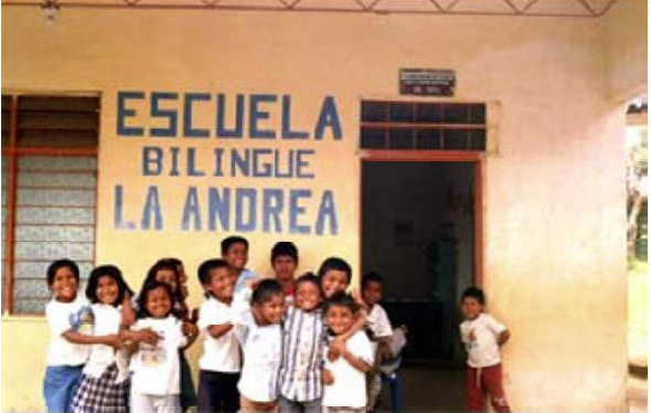 Decreto 088 de 1976. Educacion Indígena