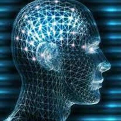 Timeline: Origen y evolución de la teoría general