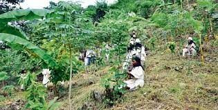 LEY DE VÍCTIMAS PARA PUEBLOS INDÍGENAS