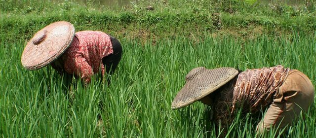 MODO ASIÁTICO DE PRODUCCIÓN