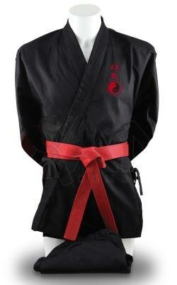 La meva primera art marcial