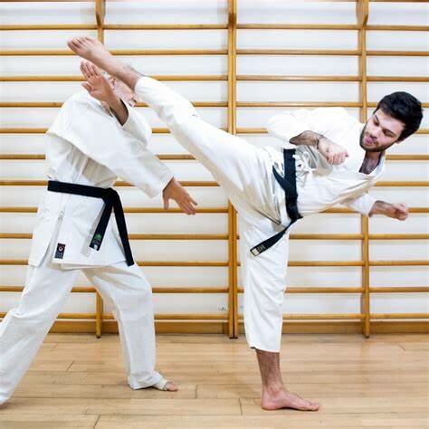 Karate es converteix en un joc olimpic (Cultural)