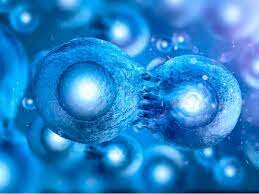 Reprogramación celular