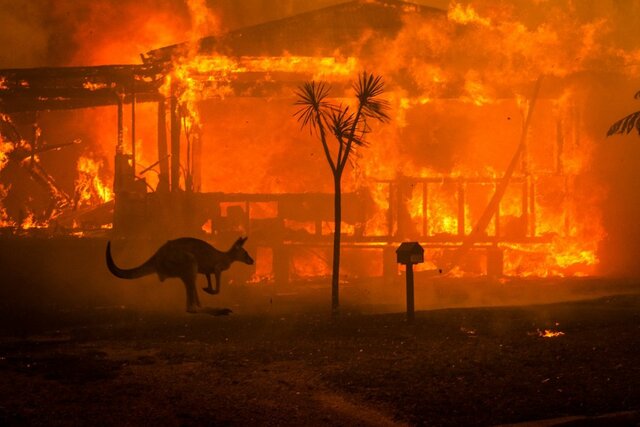 Incendi a Australia (fet climàtic)
