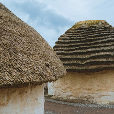 Timeline: linea del tiempo 2021