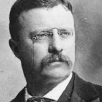 Timeline: Teddy Roosevelt!