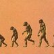 Prehistoria farmacologia
