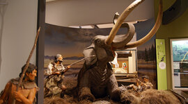 Timeline: Japan in de prehistorie