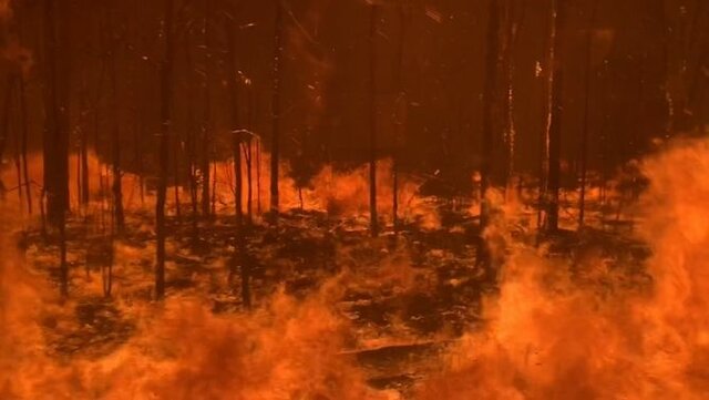 incèndis forestals d'Austràlia (climàtic)