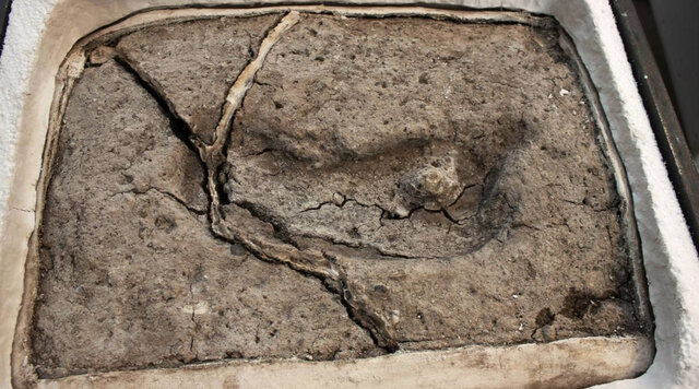 Premiers arrivants en Amérique