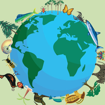 Timeline: Linea del tiempo