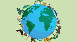 Timeline: Linea del tiempo