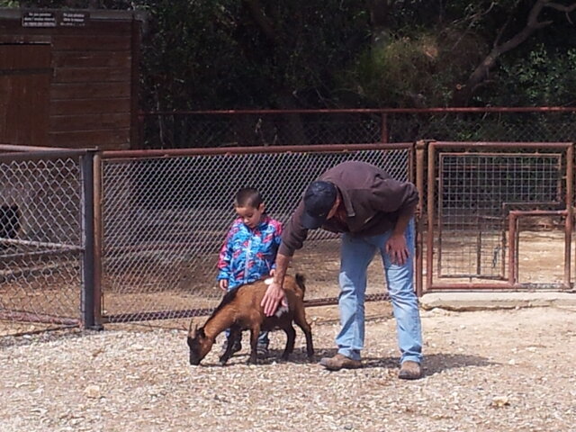 Excursió al zoo de Sigean
