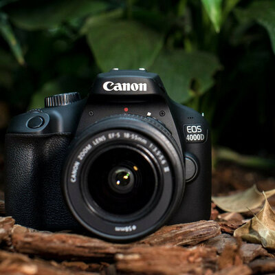 Timeline: FOTOGRAFIAS