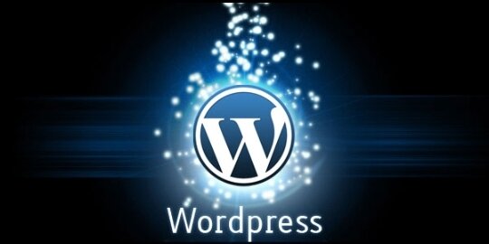 WordPress 2.9