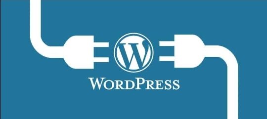 WordPress con desarrolladores en Delhi, Boston  y San Francisco