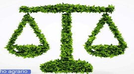 Timeline: evolución del régimen de propiedad en el Derecho Agrario en México